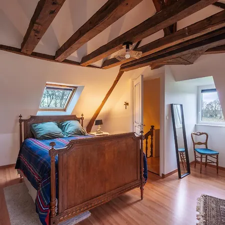 Léchappée - Campagne - Wifi - Terrasse Cossé-le-Vivien